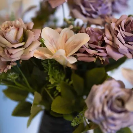 Fewo-wustrow Appartamento Prerow